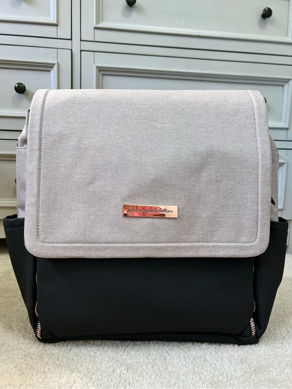 Petunia Pickle Bottom Diaper Bag 👶🏻